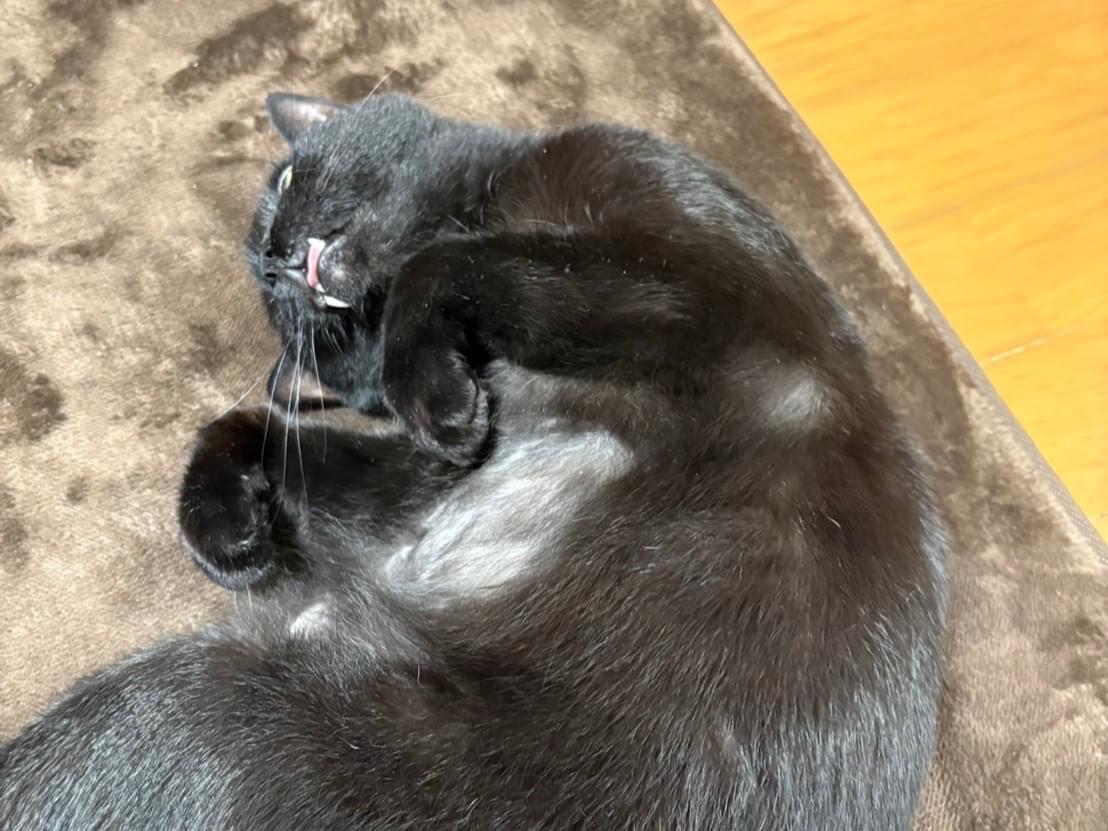 キキ