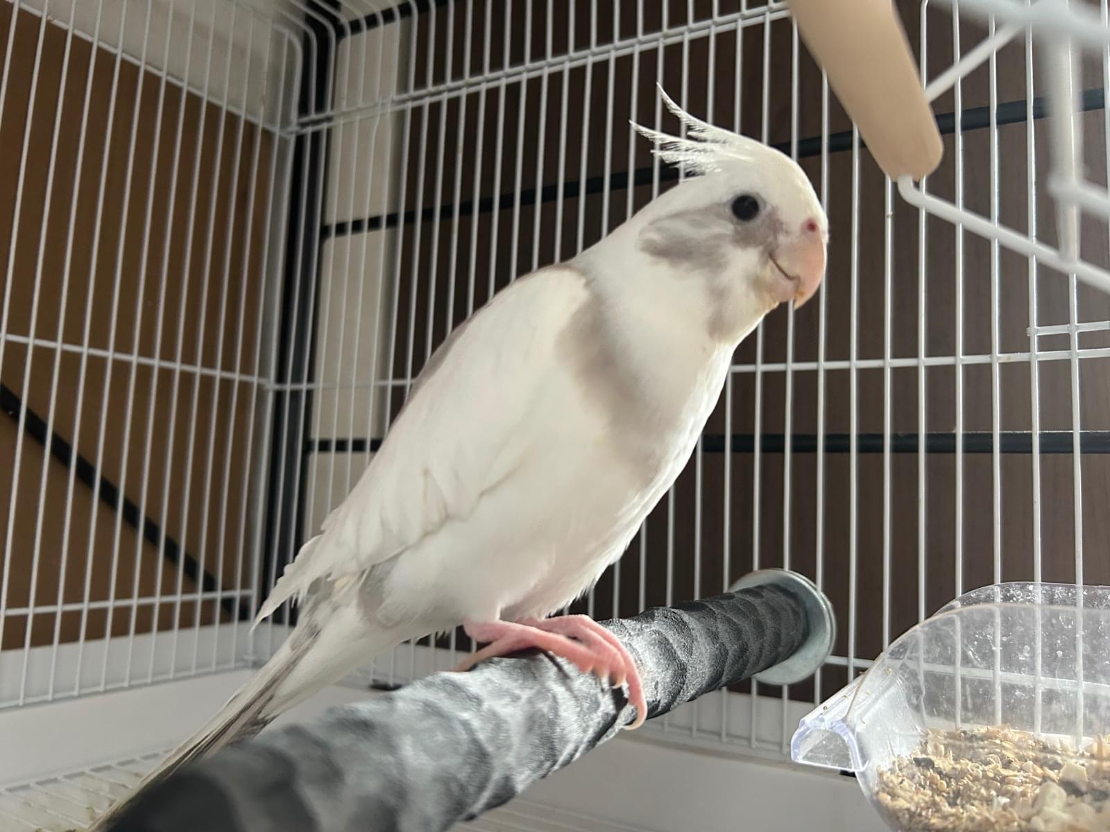 ふくちゃん
