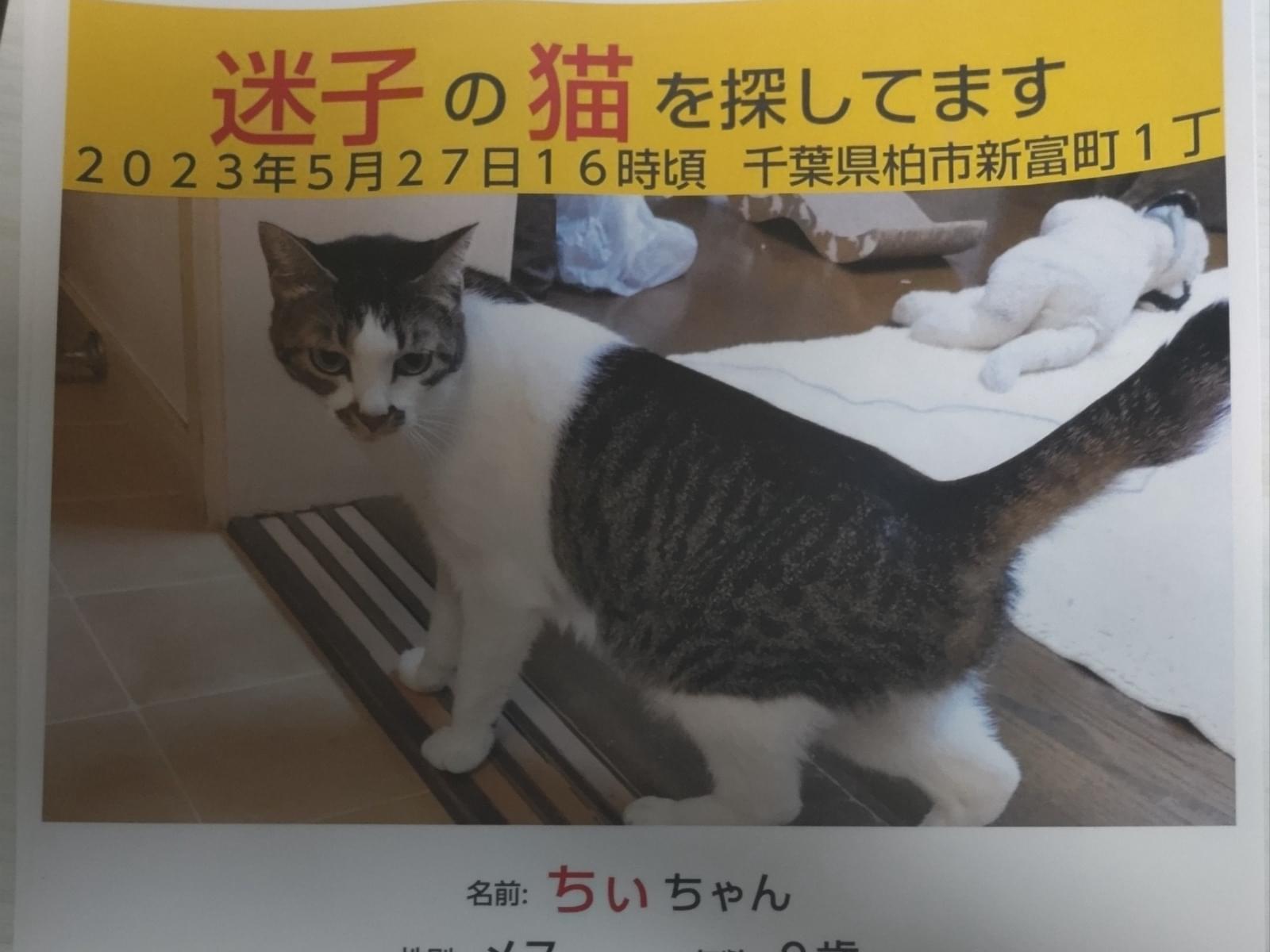 ちいちゃん ちいちゃん