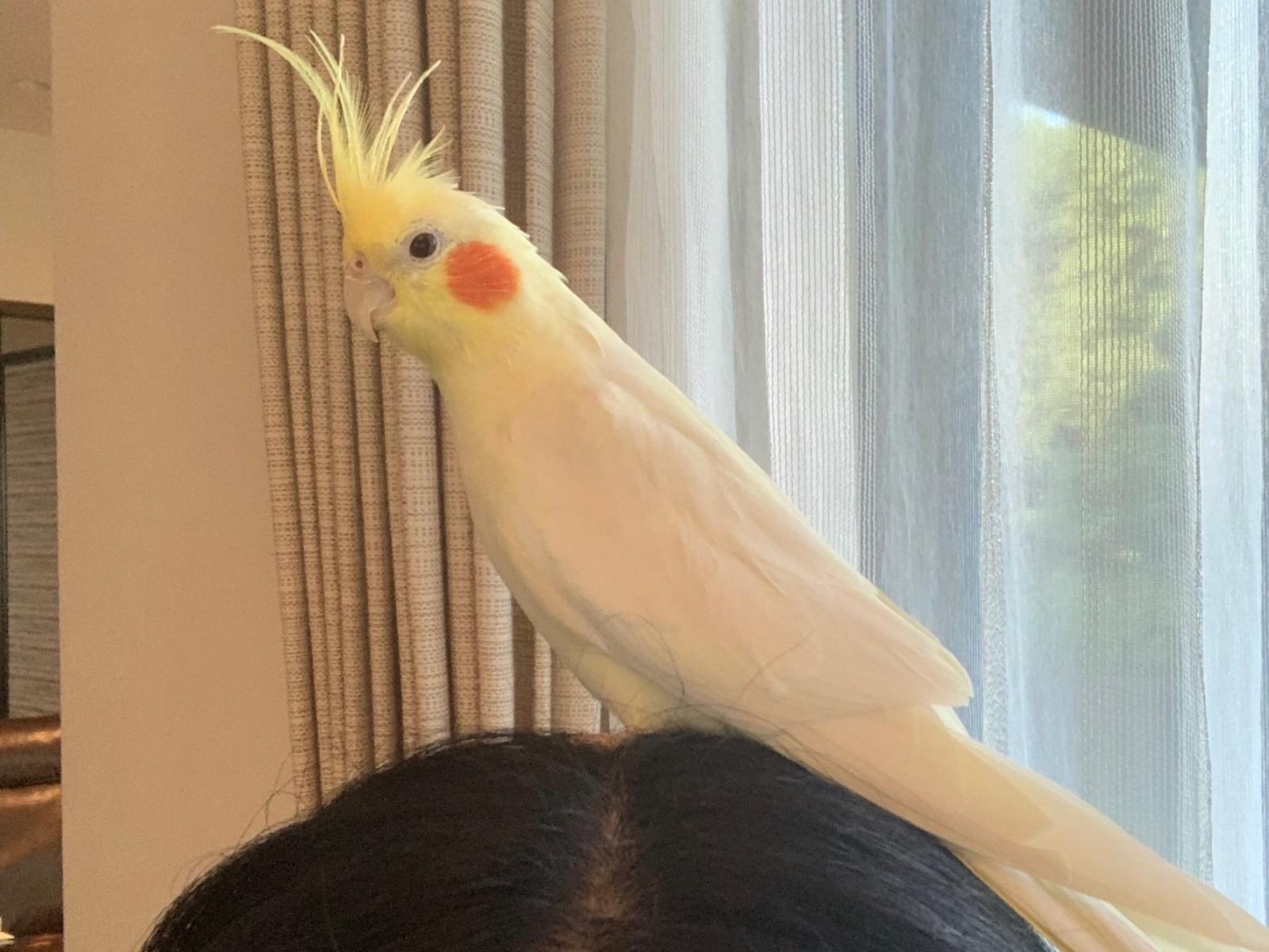 サクちゃん サクちゃん