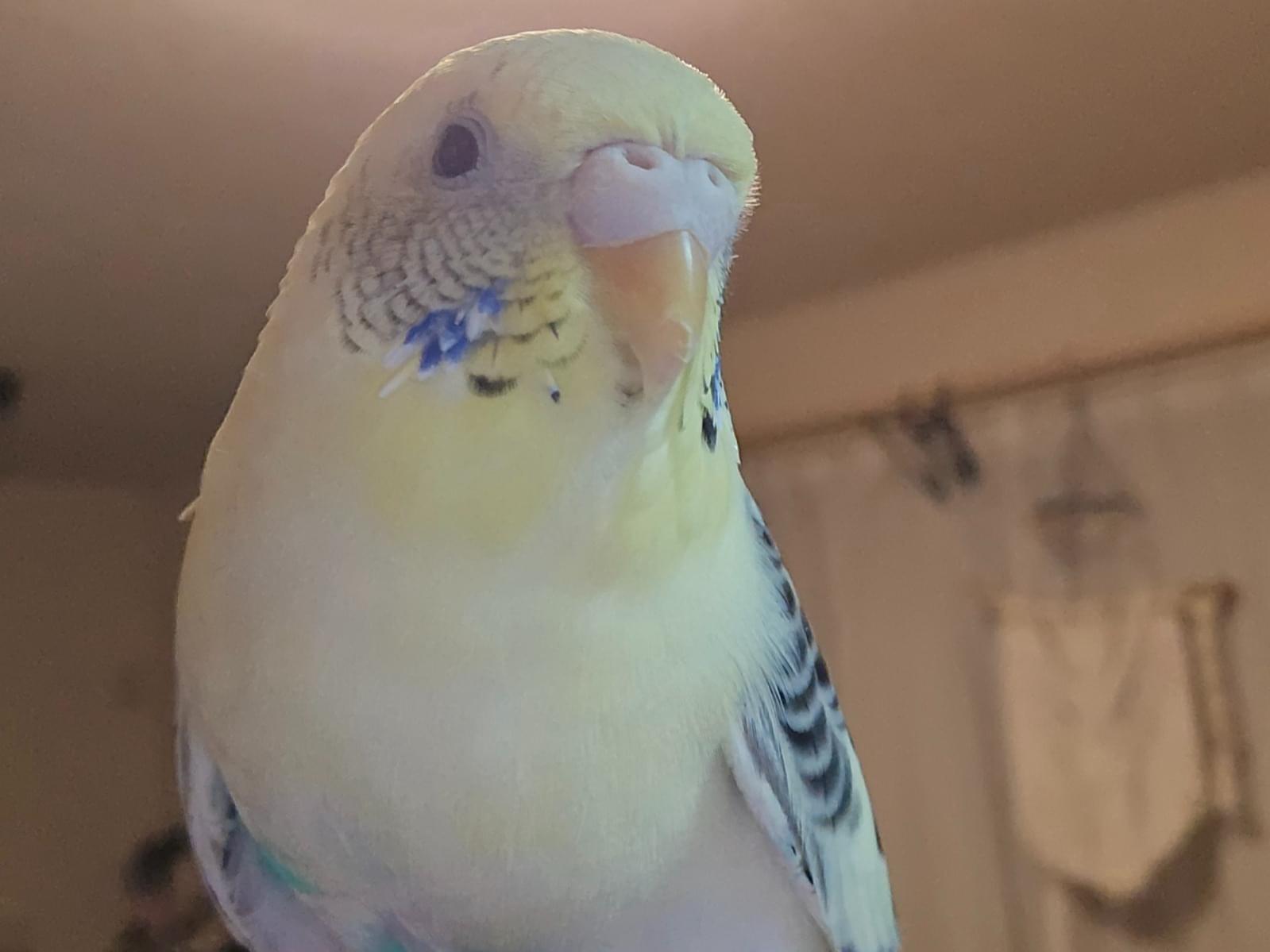 めっちゃん めっちゃん
