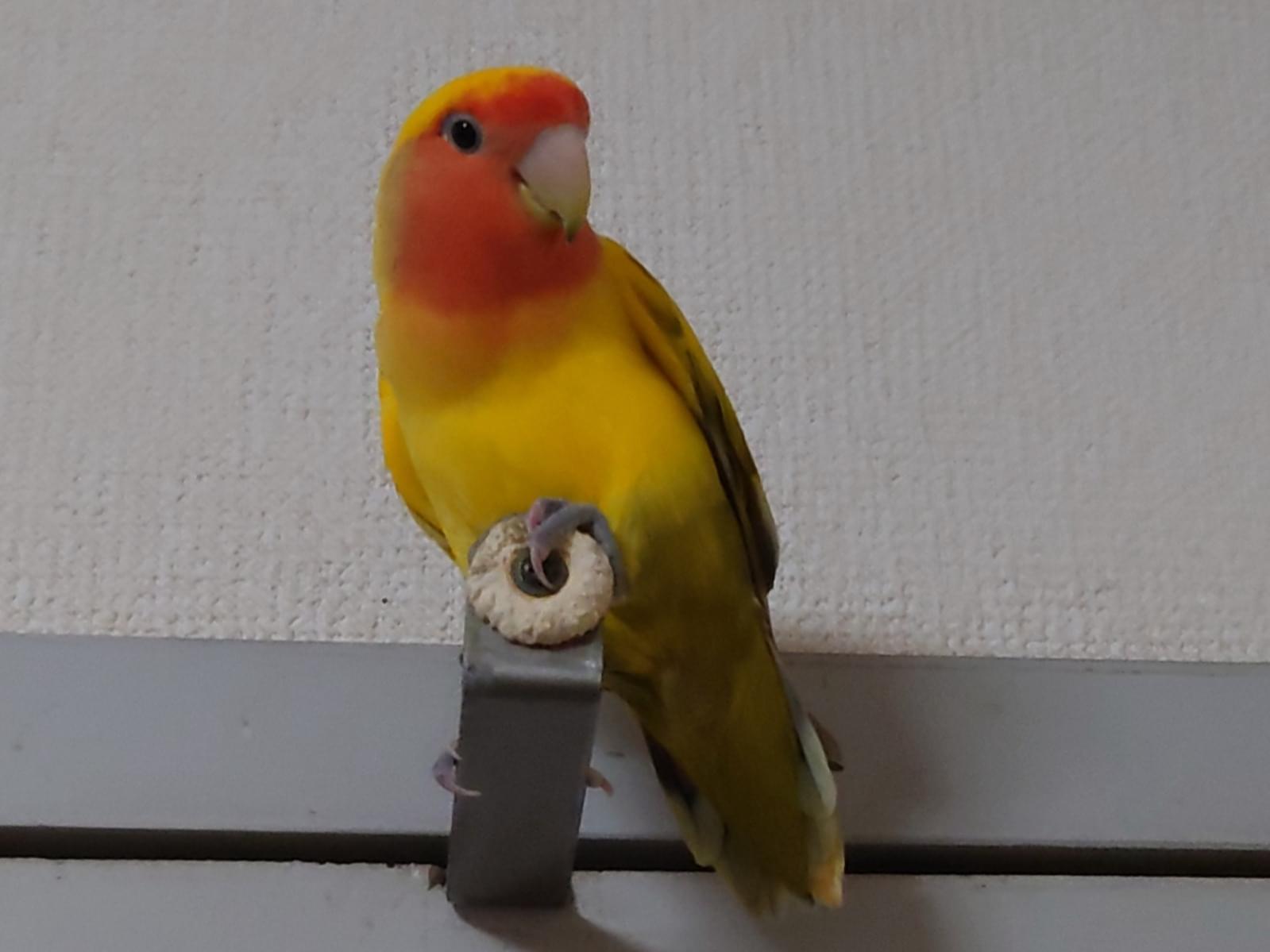 キキちゃん キキちゃん