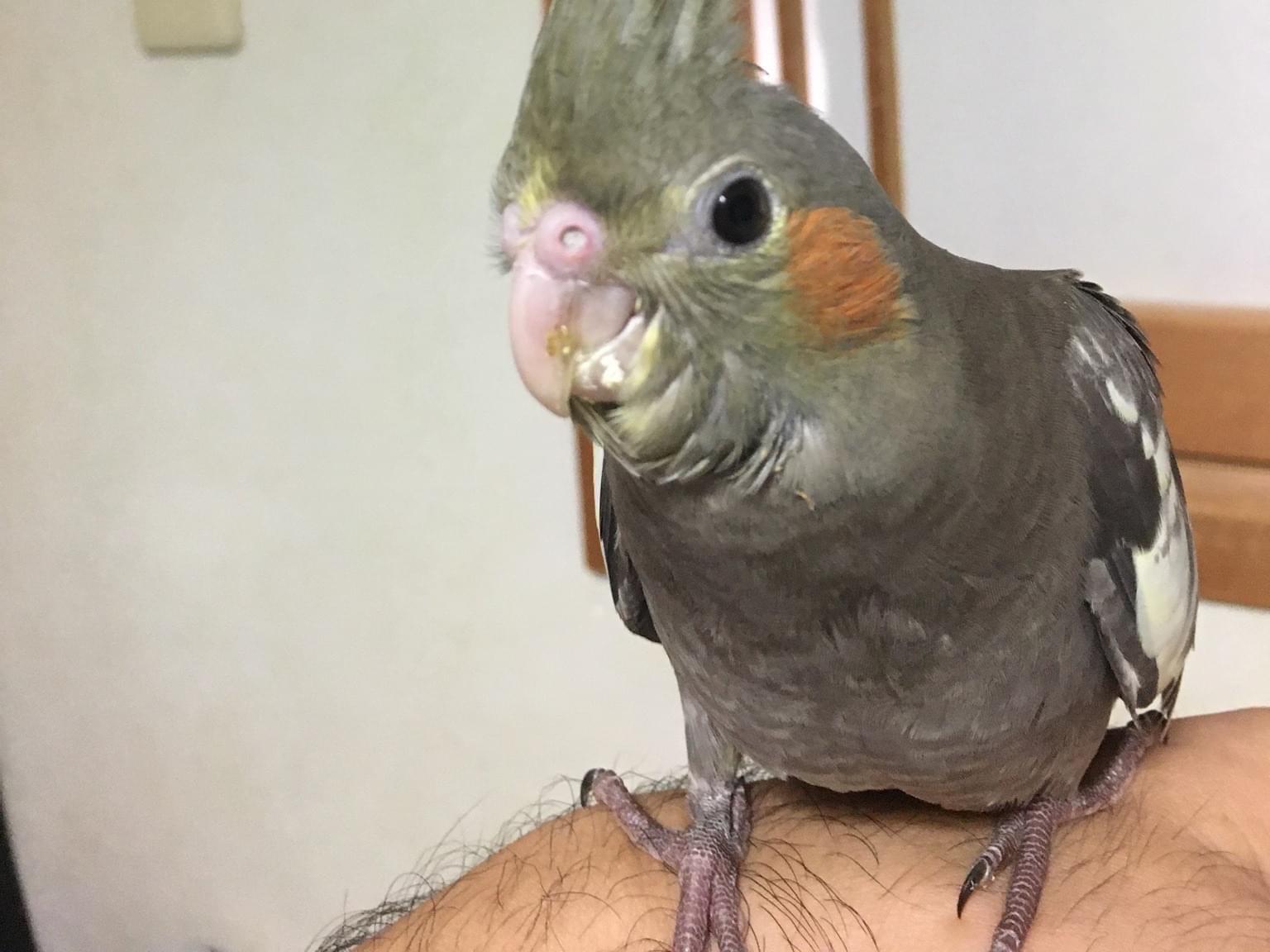 くぅちゃん くぅちゃん