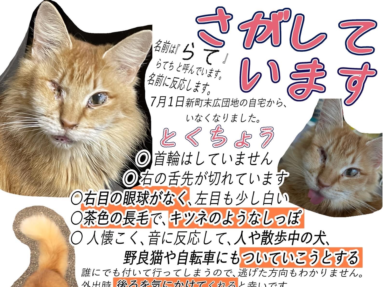 らてちゃん らてちゃん