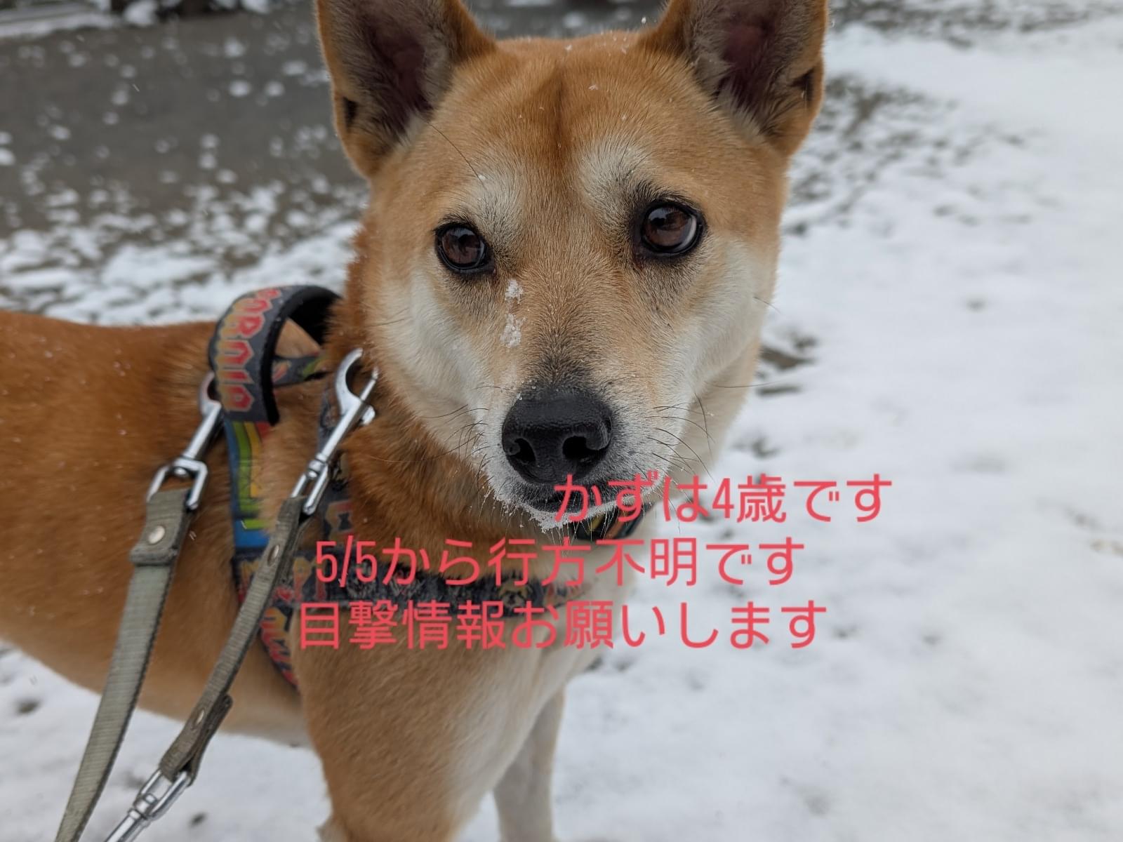 かずはちゃん かずはちゃん