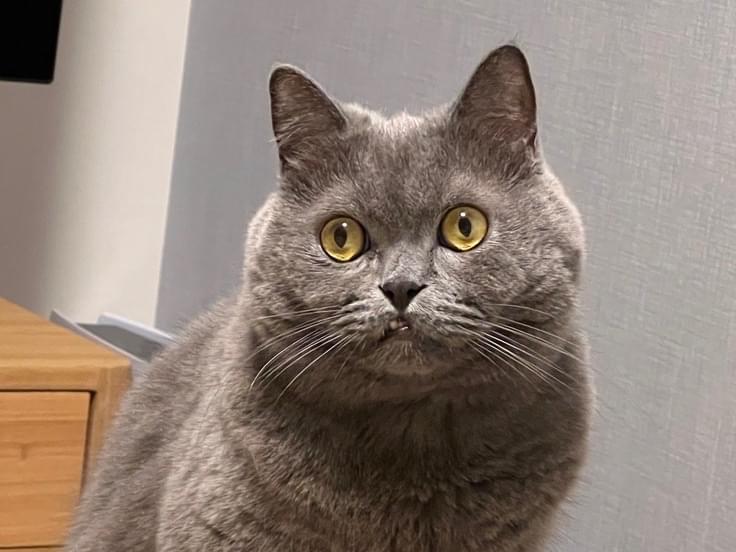 十億ちゃん 十億ちゃん