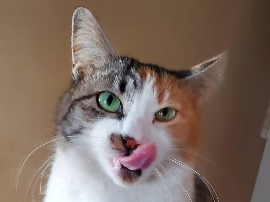 ばっちゃん ばっちゃん