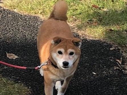 ひなちゃん ひなちゃん