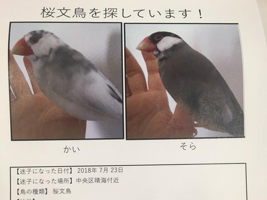 かいちゃん かいちゃん