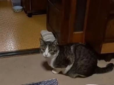 くーたちゃん くーたちゃん