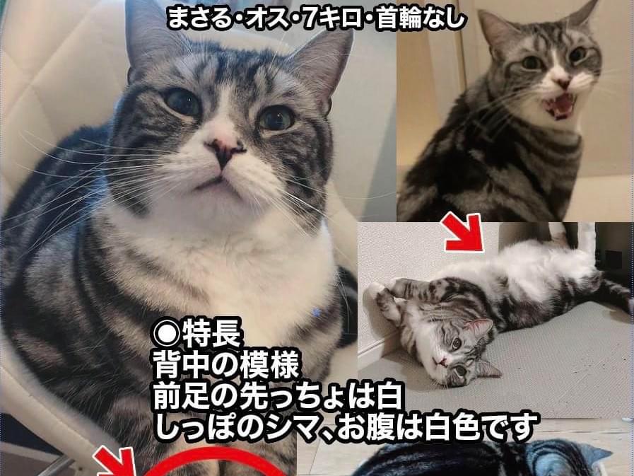 まさるちゃん まさるちゃん