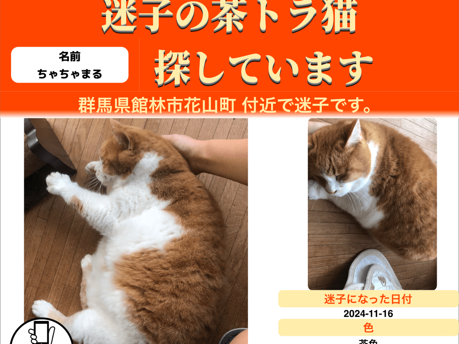ちゃちゃまるちゃん ちゃちゃまるちゃん