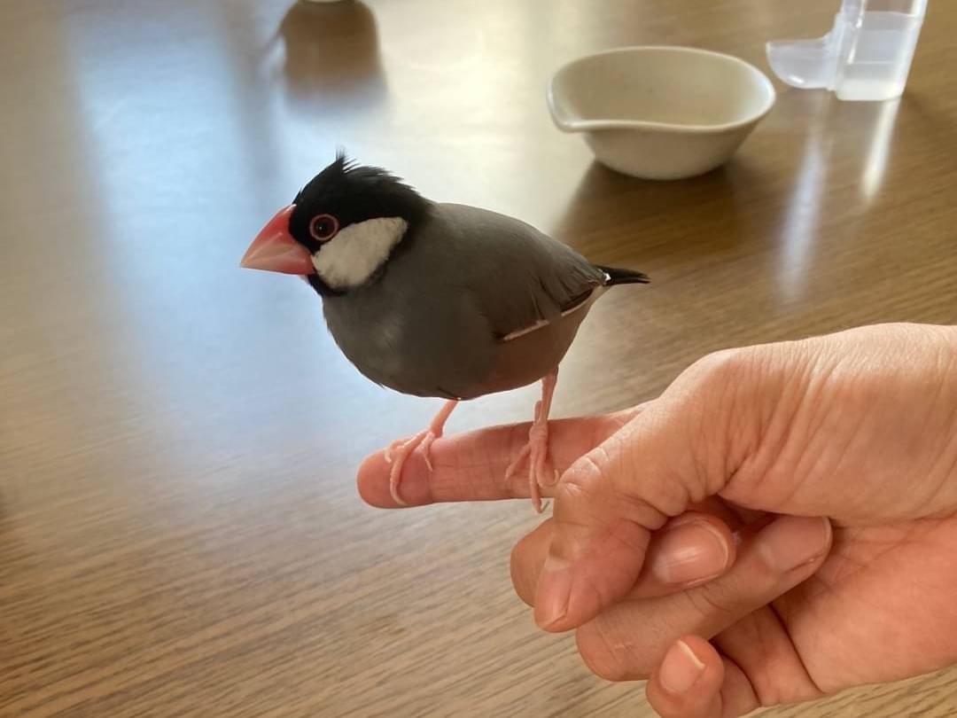 ブンちゃん ブンちゃん