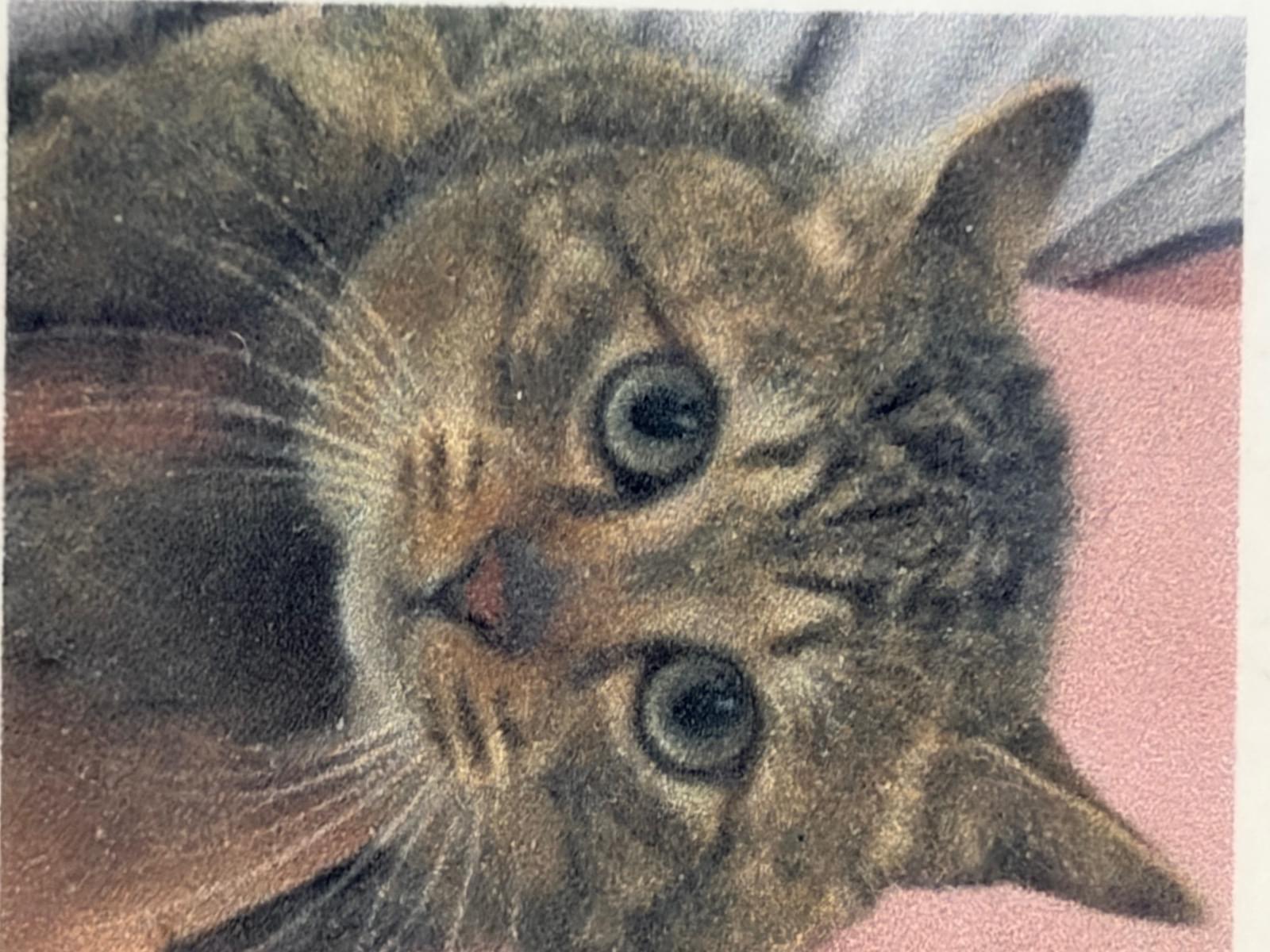 トラジ君ちゃん