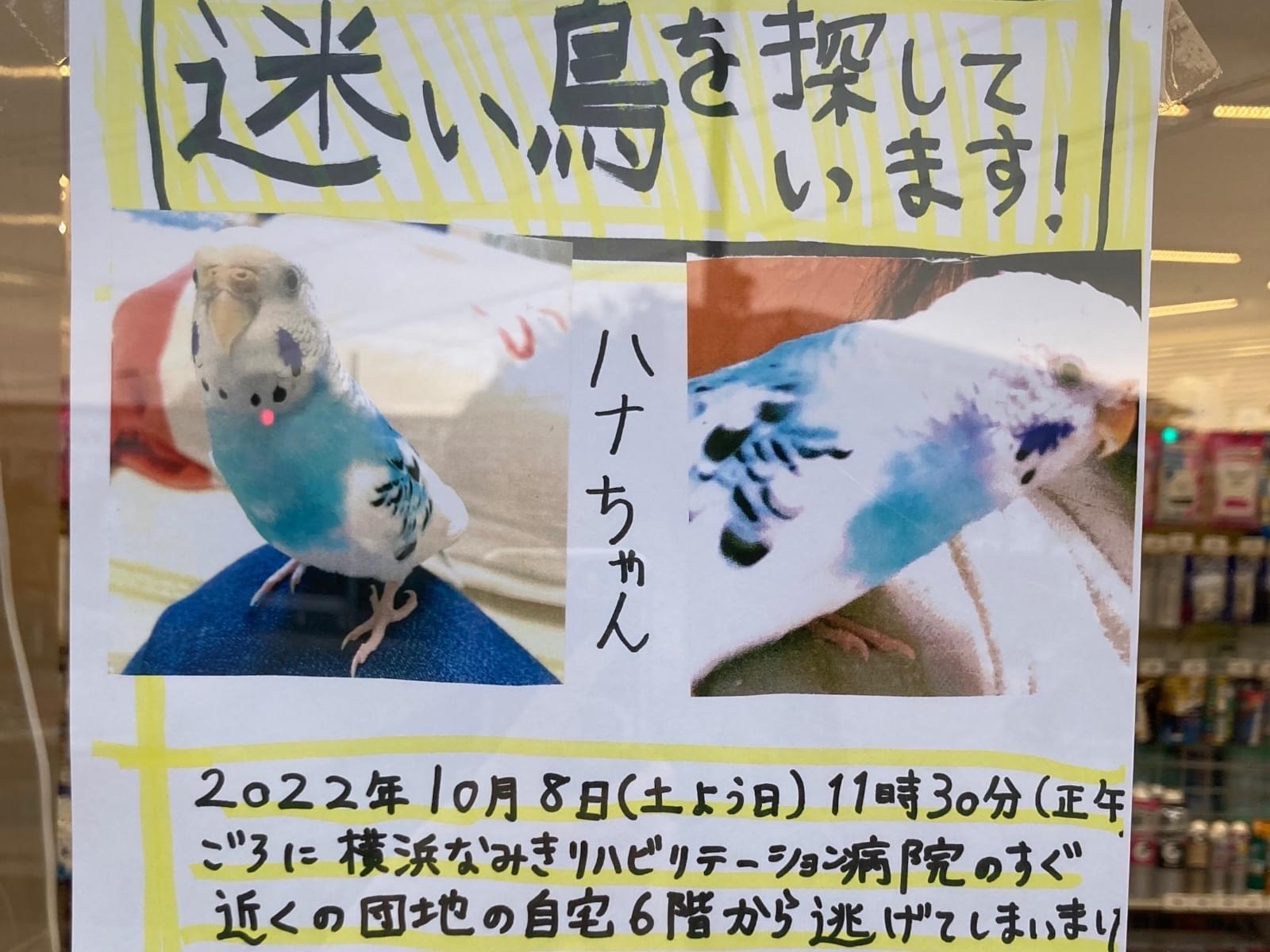 ハナちゃん ハナちゃん
