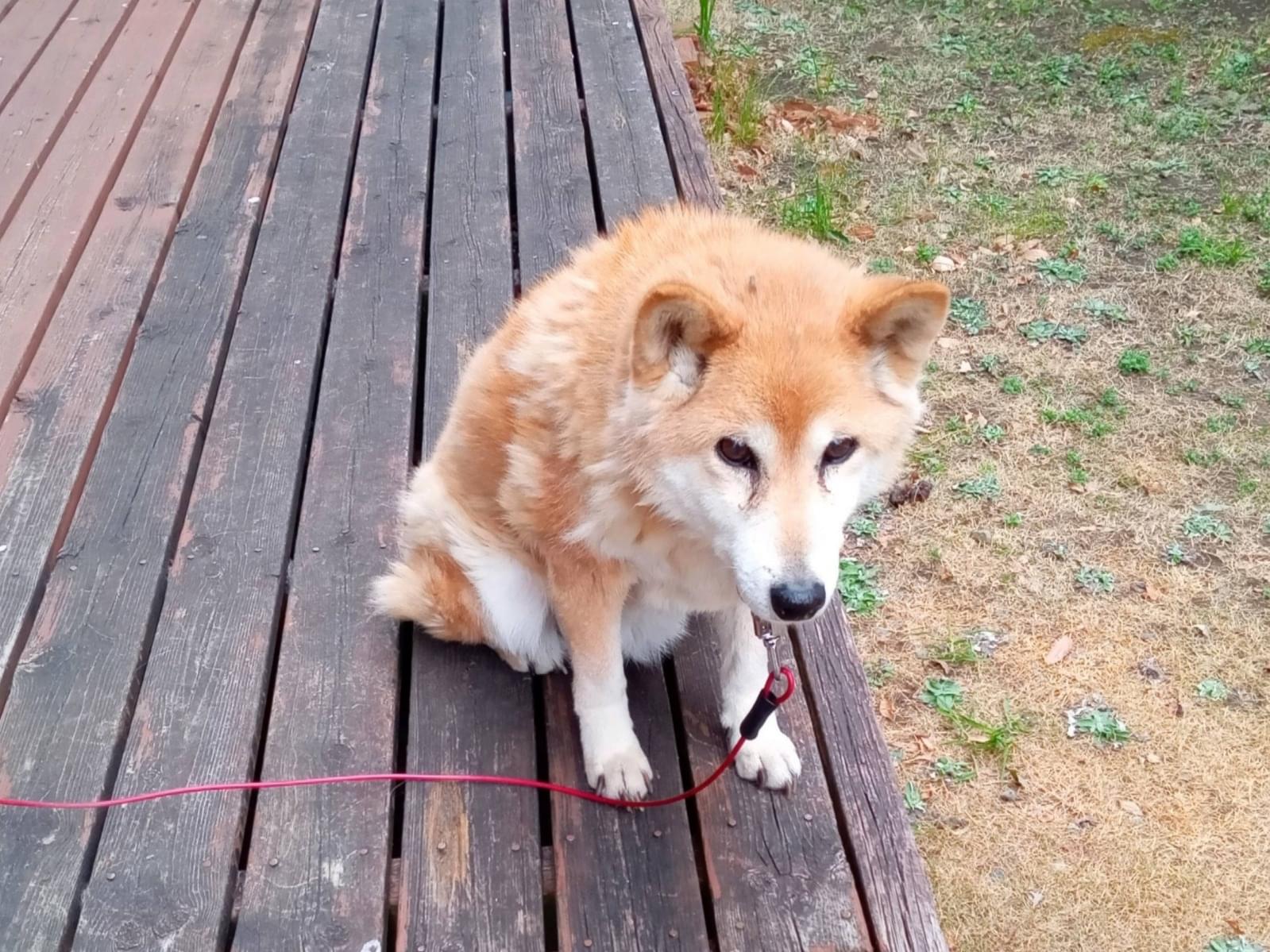 うたちゃん うたちゃん