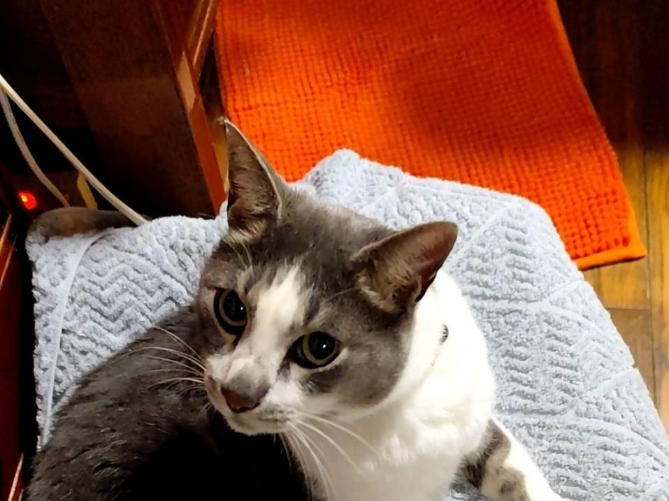 まるちゃん まるちゃん