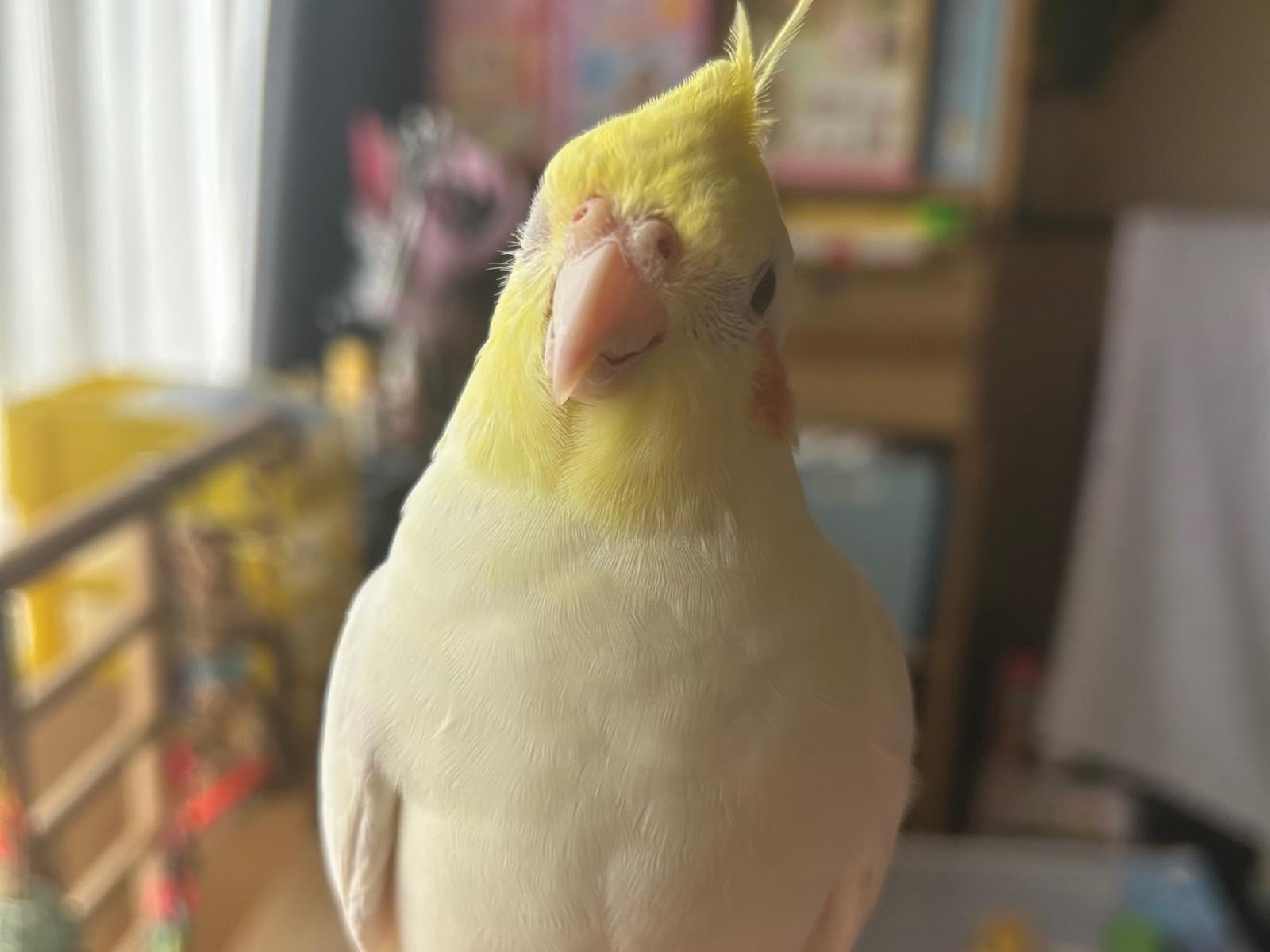 すずちゃん すずちゃん