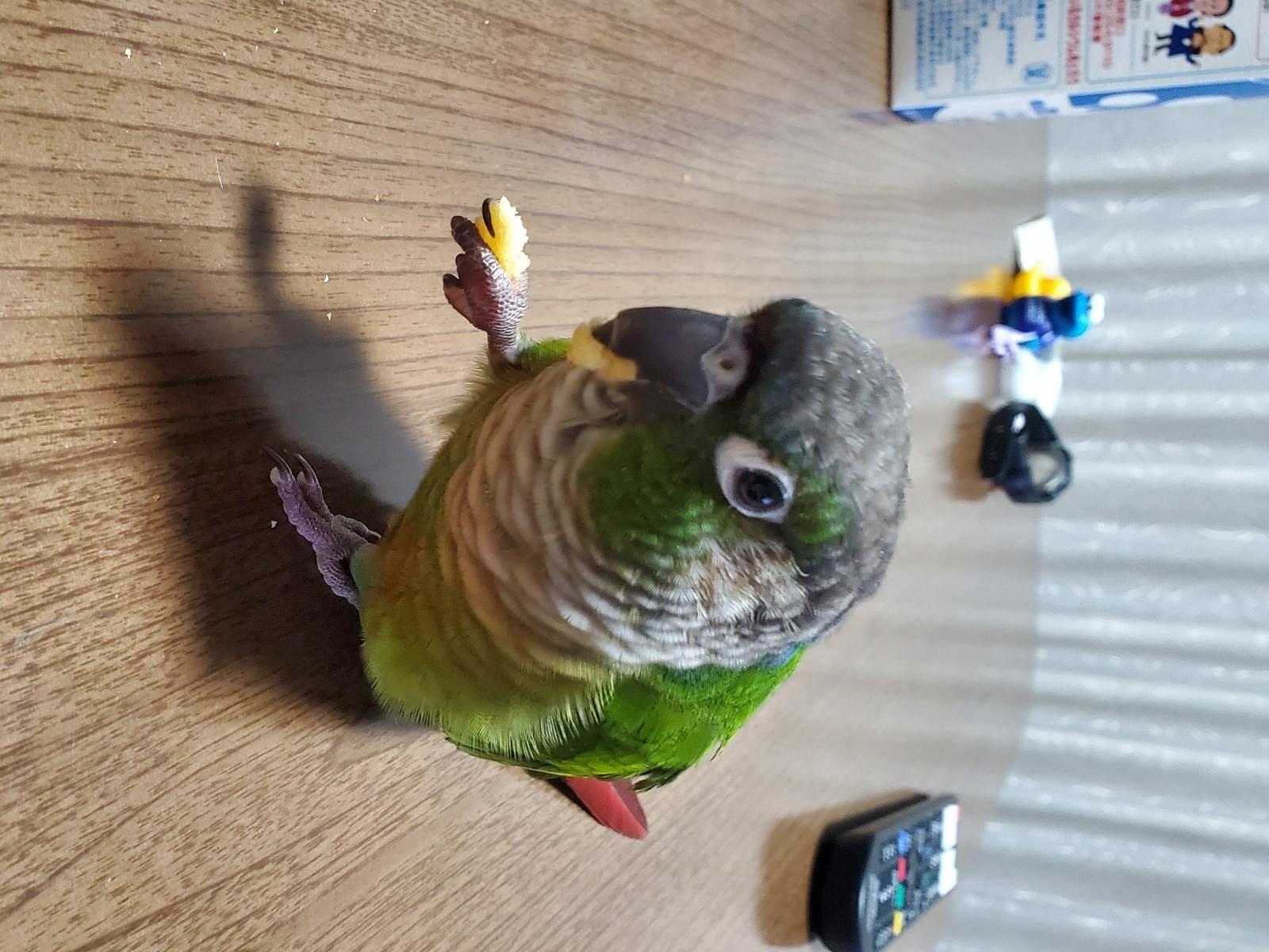 ふくちゃん ふくちゃん