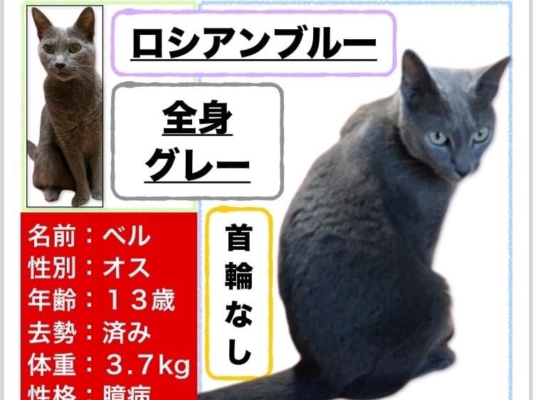 ベルちゃん ベルちゃん