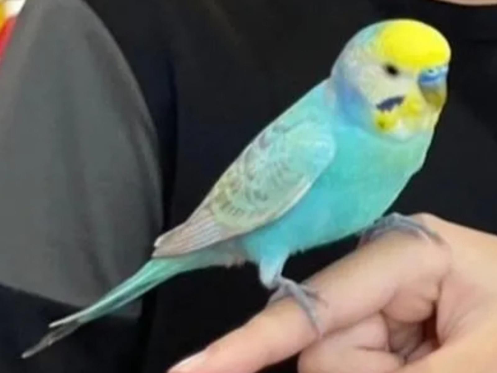 サンちゃん サンちゃん