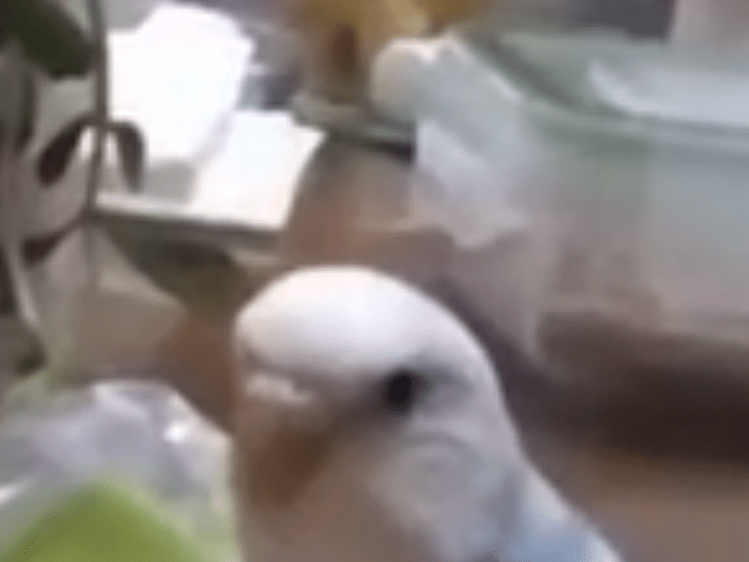 ムーちゃん ムーちゃん