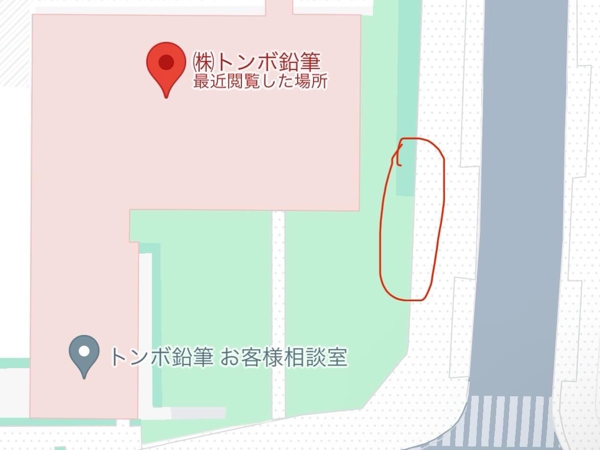 目撃された鳥 目撃された鳥