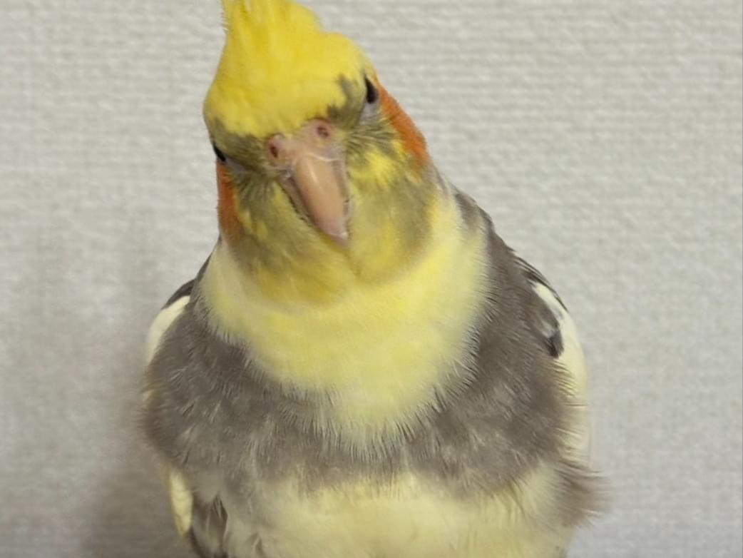 あーちゃん あーちゃん