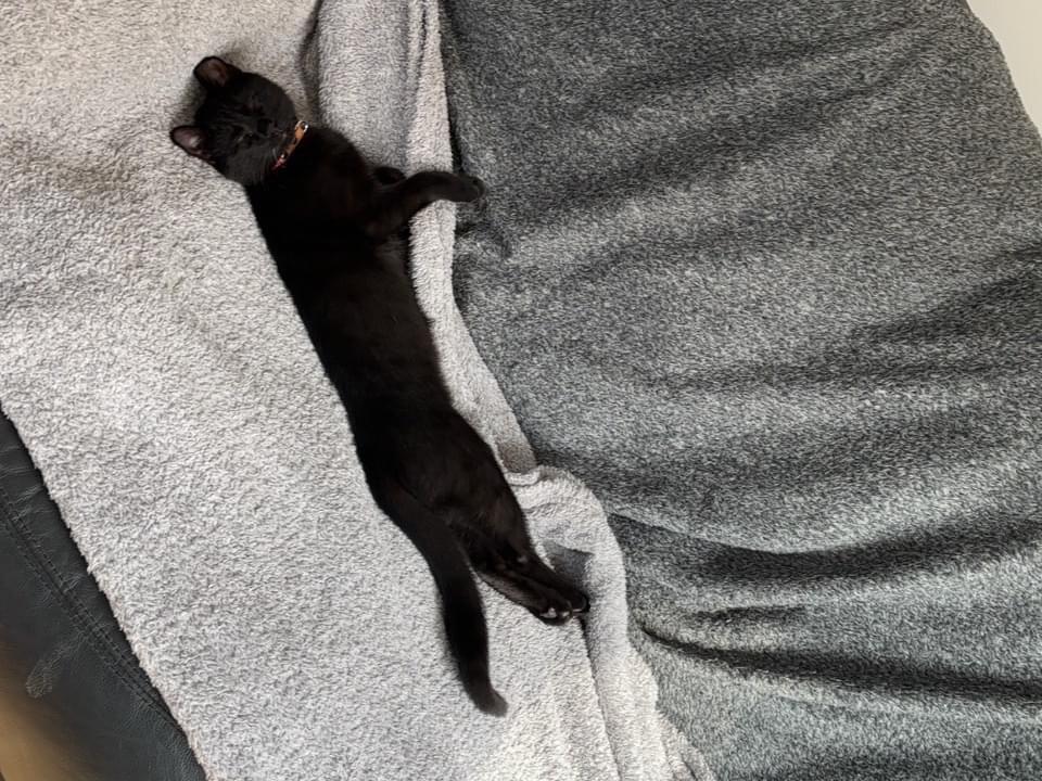 ジジちゃん ジジちゃん