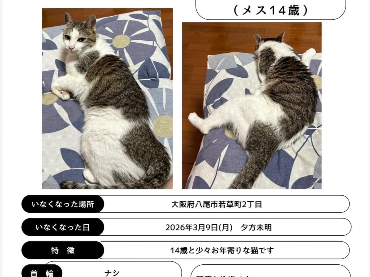 チーちゃん チーちゃん