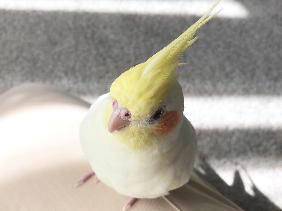 のりちゃん のりちゃん
