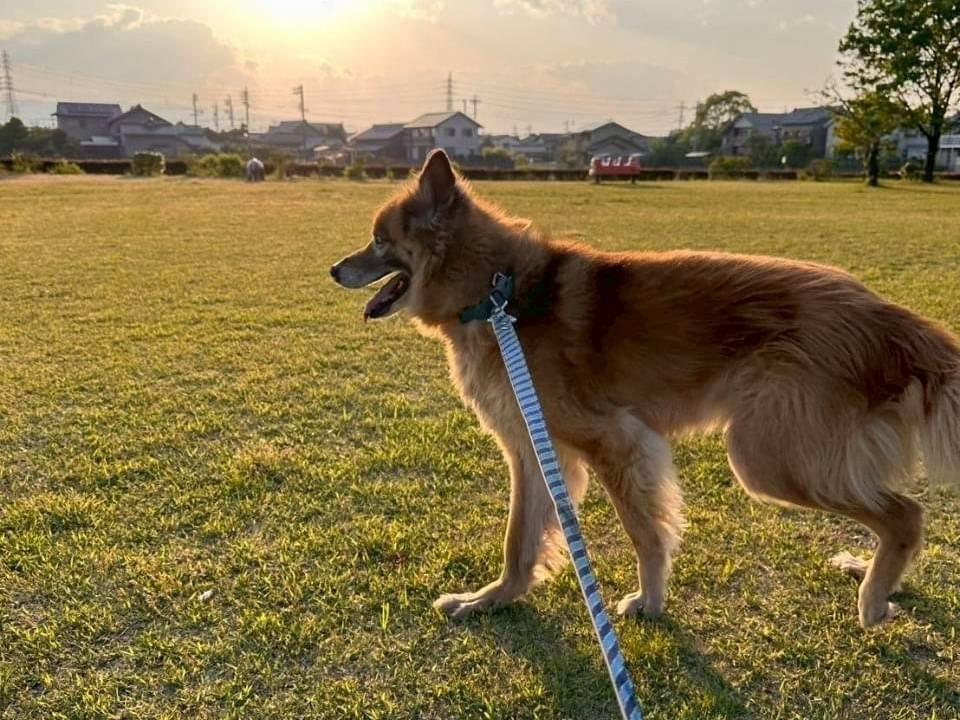 ケンタちゃん ケンタちゃん