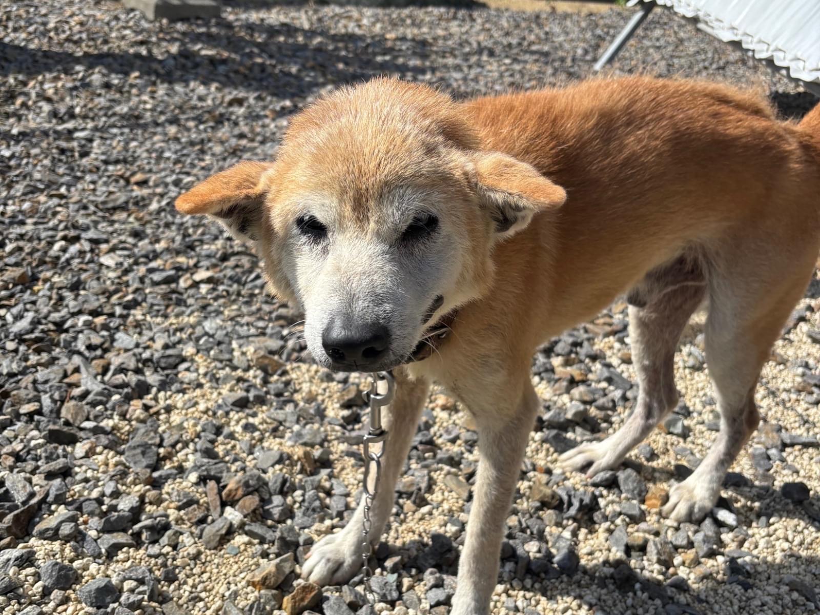 コタローちゃん