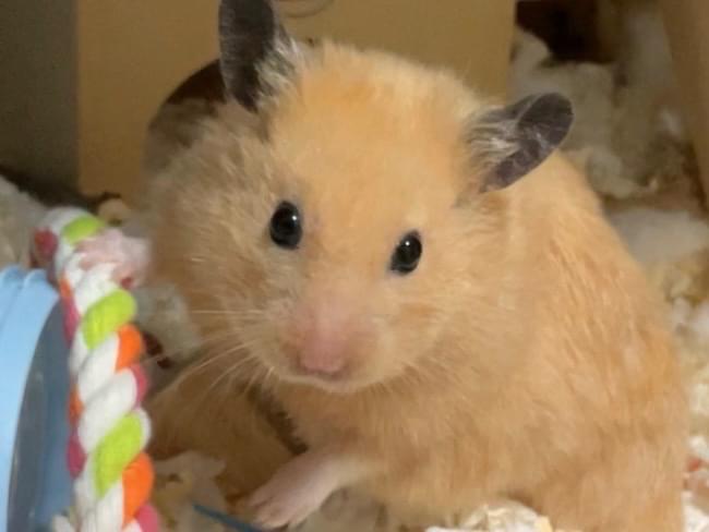 諭吉ちゃん 諭吉ちゃん