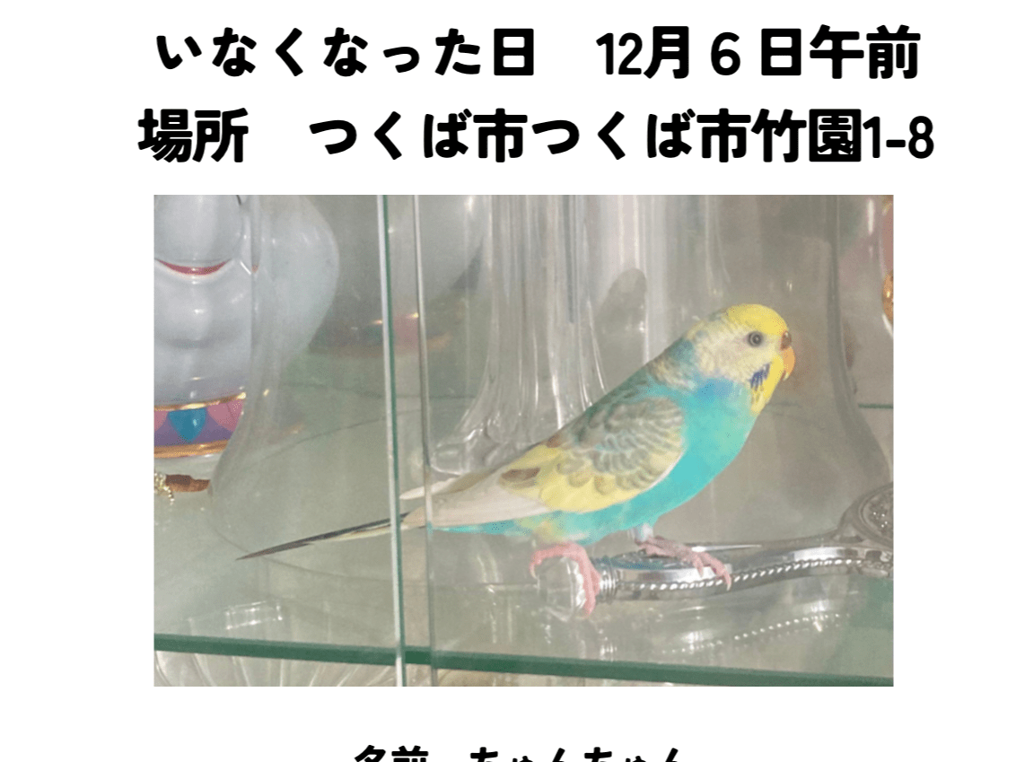 ちゅんちゅんちゃん ちゅんちゅんちゃん