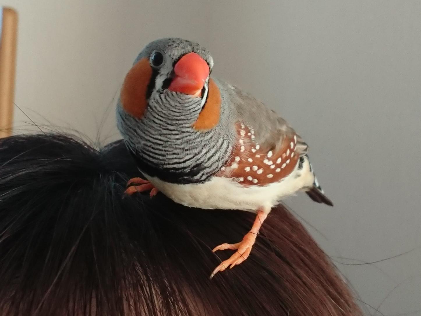 まるちゃん まるちゃん