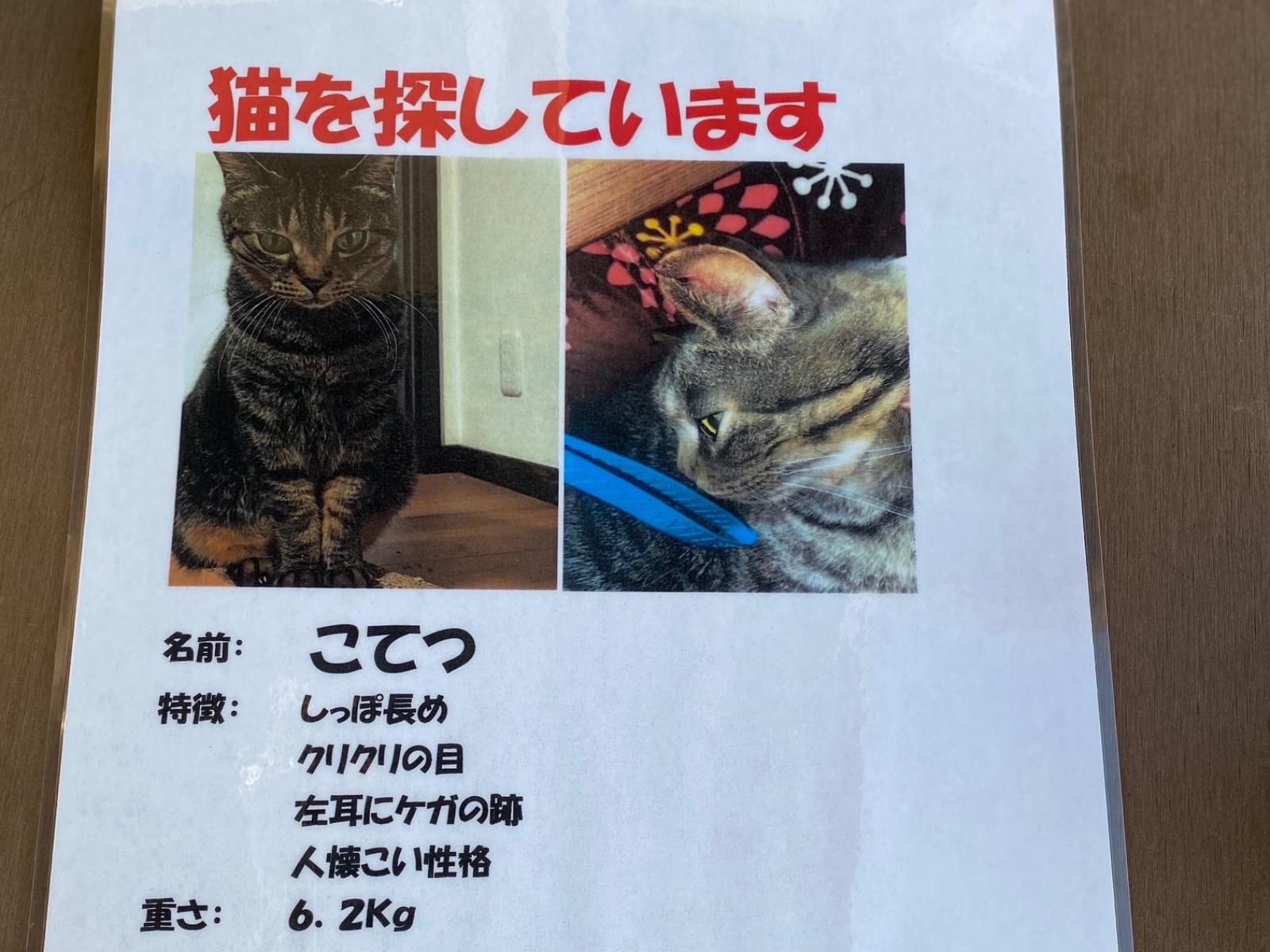 こてつちゃん こてつちゃん