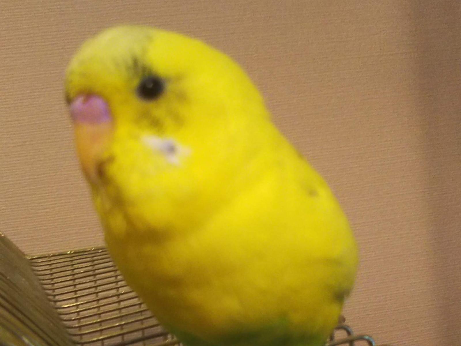 キキちゃん キキちゃん
