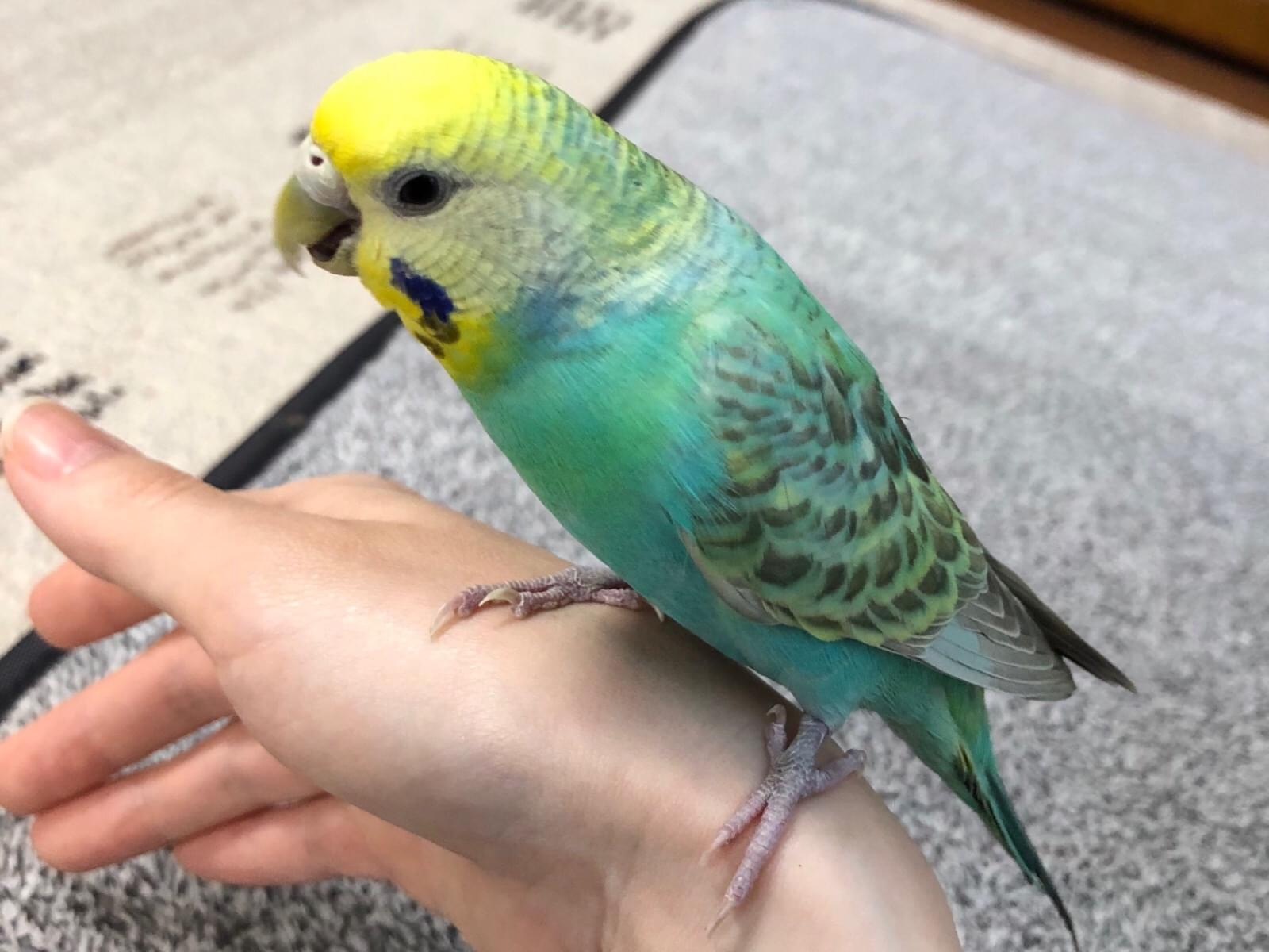 メイちゃん メイちゃん