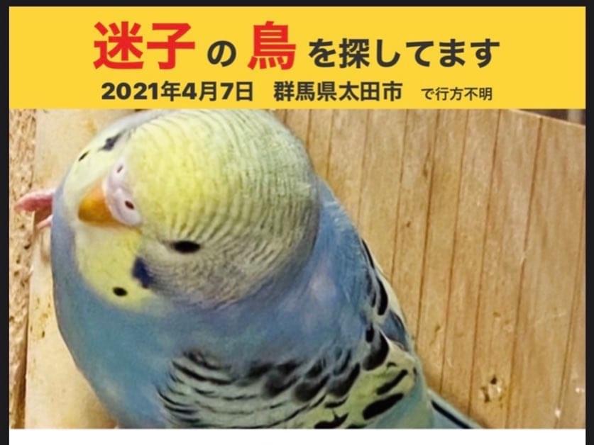 ららちゃん ららちゃん