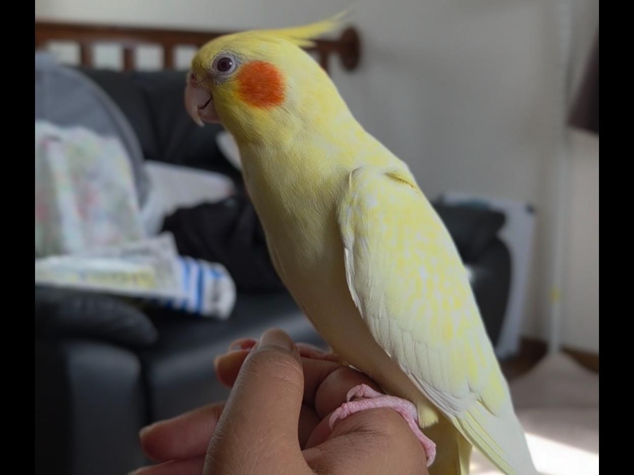 ユキちゃん