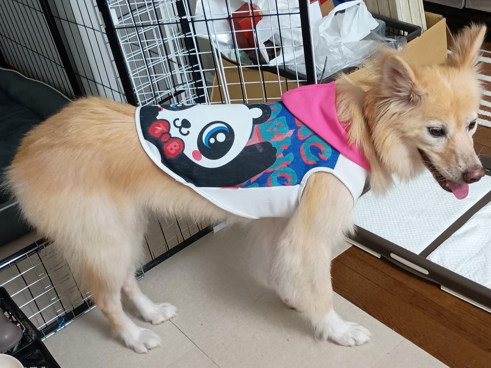 にぽこちゃん にぽこちゃん