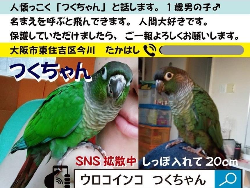 つくちゃん つくちゃん