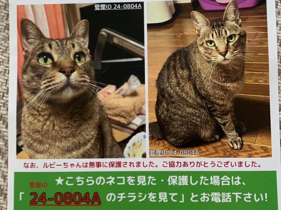 ダイちゃん ダイちゃん