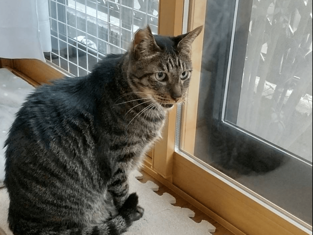 ムムックちゃん