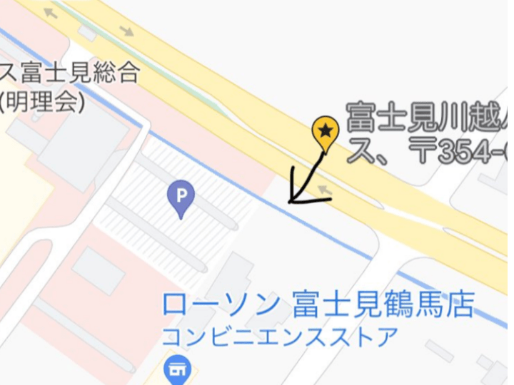 目撃された鳥 目撃された鳥