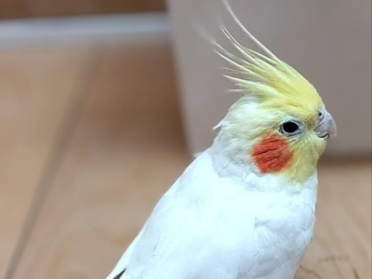 まおちゃん まおちゃん