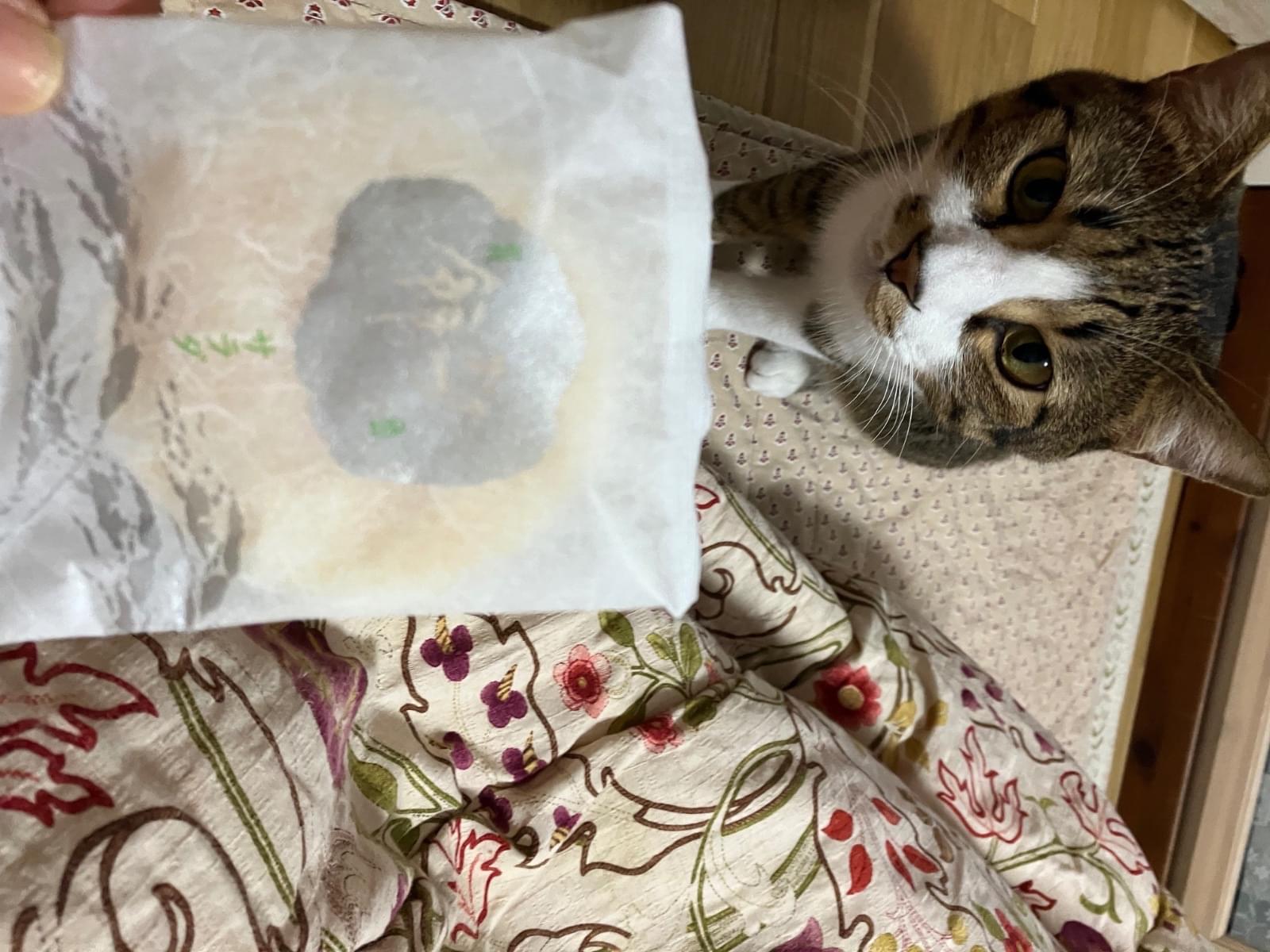 まるちゃん まるちゃん