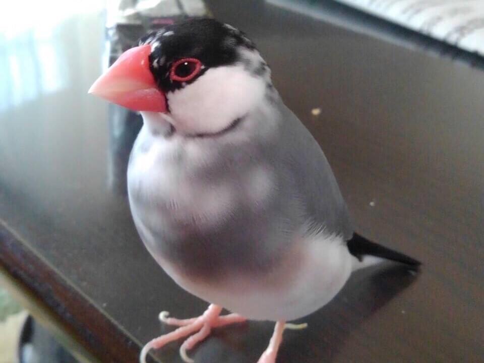 サジちゃん サジちゃん