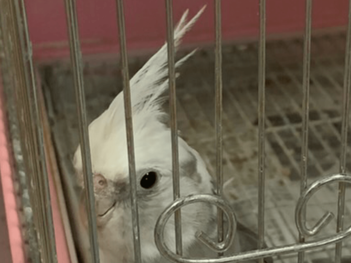 くーちゃん くーちゃん
